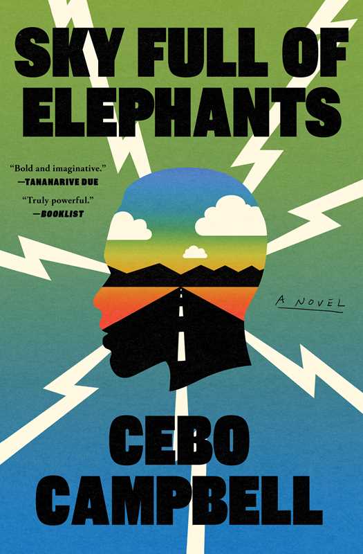 Sky Full of Elephants (paperback)