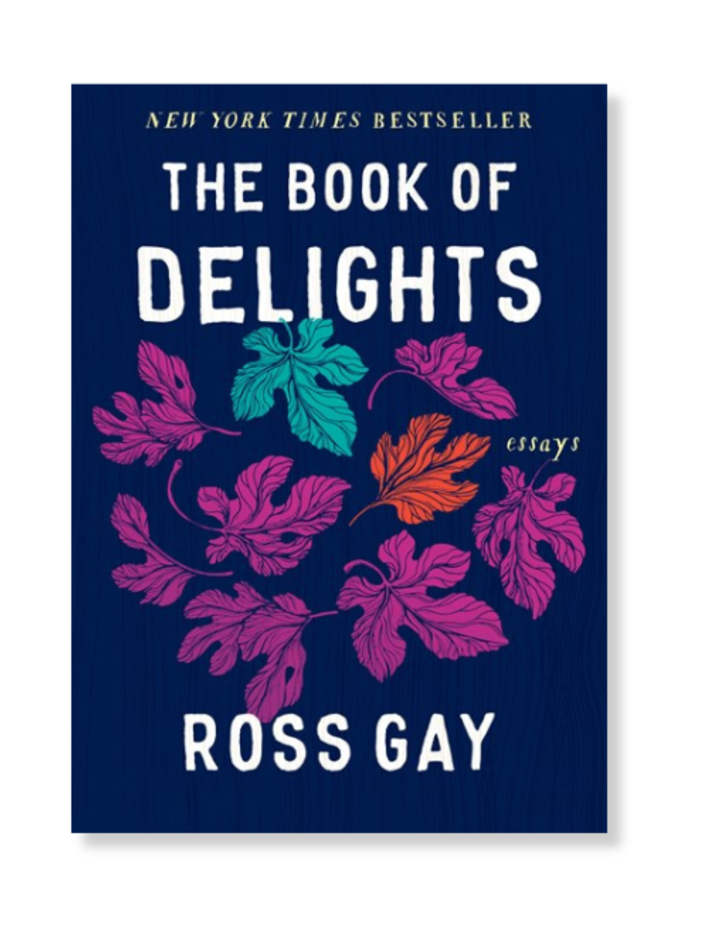 The Book of Delights: Essays