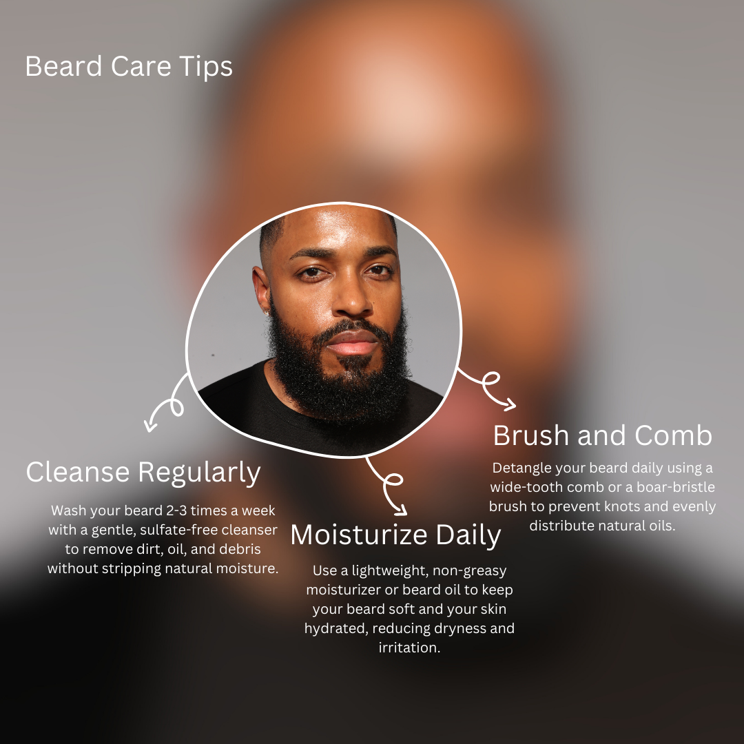 Signature | Beard Oil