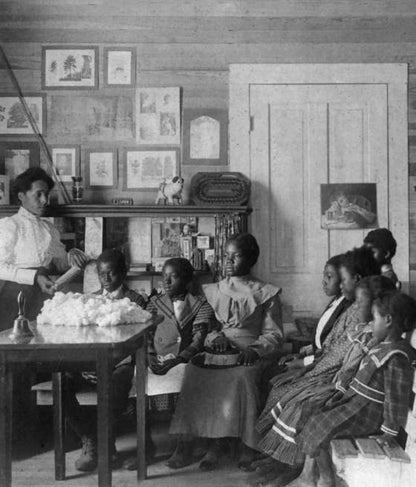 1619 Project: A Visual Experience