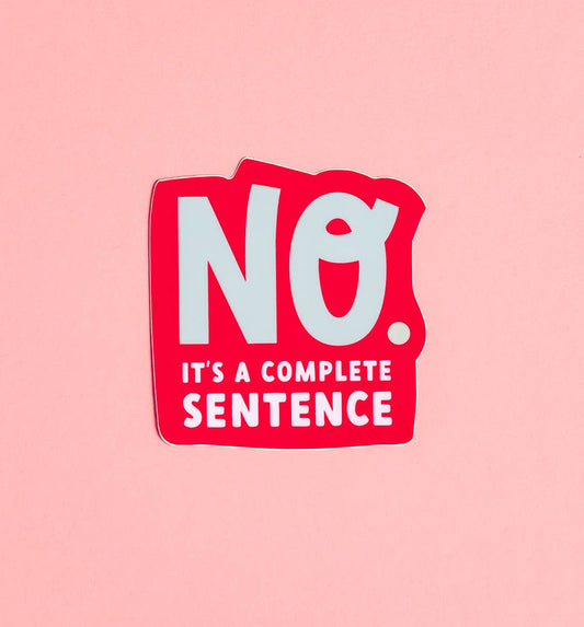 No Vinyl Sticker - Boundaries - Funny Waterproof Sticker